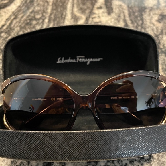 Salvatore Ferragamo SF600S Sunglasses main image 13